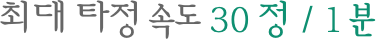 최대 타정 속도 30 정 / 1 분